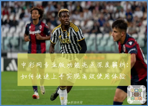 中彩网专业版功能亮点深度解析：如何快速上手实现高效使用体验