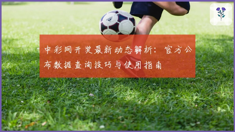 中彩网开奖最新动态解析：官方公布数据查询技巧与使用指南
