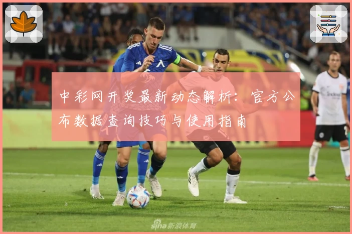 中彩网开奖最新动态解析：官方公布数据查询技巧与使用指南